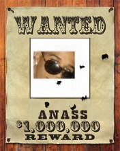 anass estoowd
